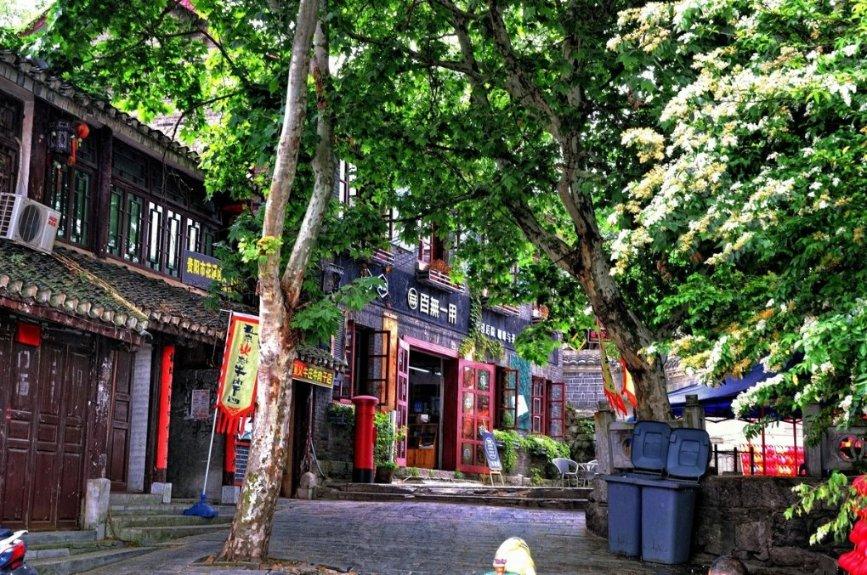 解惑蜗牛,尽在社保如何参保?问答平台