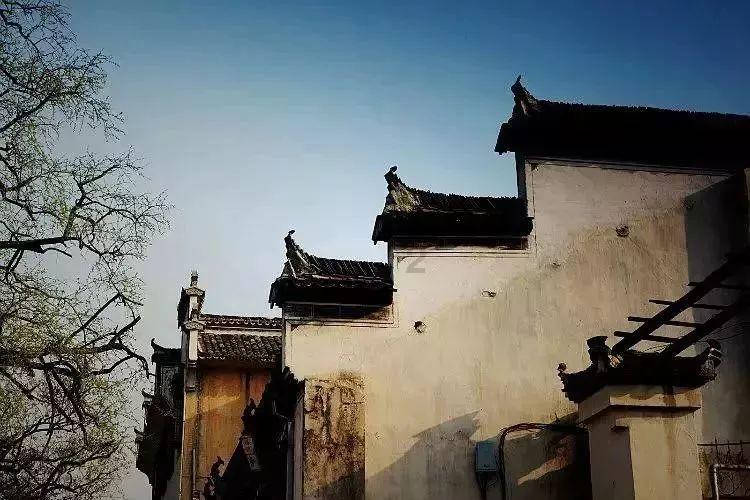 社区食堂暖胃又暖心（新春走基层）